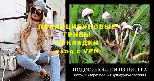 твердый Алексин