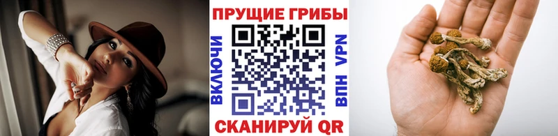 Псилоцибиновые грибы Magic Shrooms Дубна
