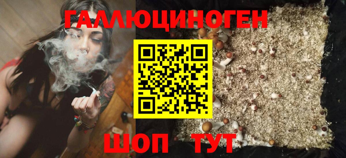 Галлюциногенные грибы мицелий Дубна
