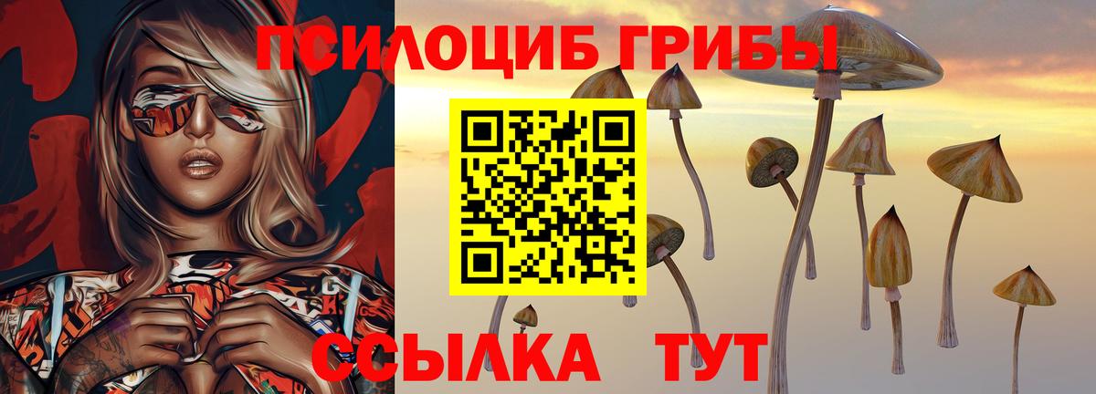 Дубна  Псилоцибиновые грибы мицелий  Галлюциногенные грибы Cubensis  Вход с VPN 